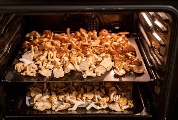 Сохранить вкус леса на зиму: как сушить грибы в домашних условиях